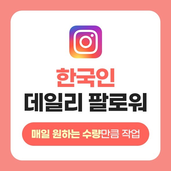 한국인 인스타그램 데일리 팔로워